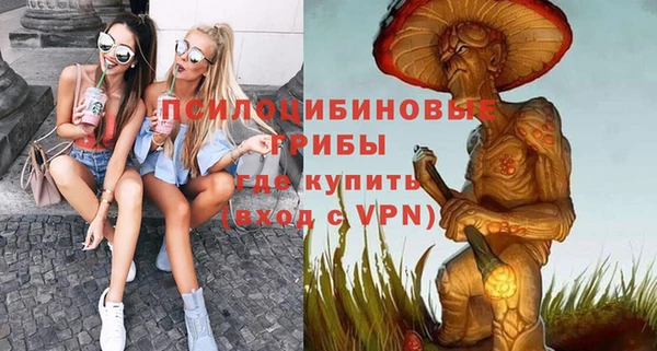 apvp Алзамай