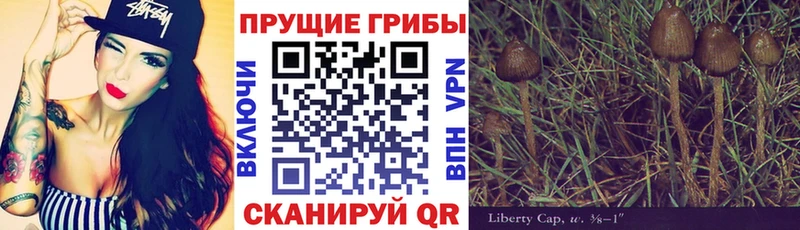 даркнет какой сайт  мега сайт  Углегорск  Псилоцибиновые грибы MAGIC MUSHROOMS 